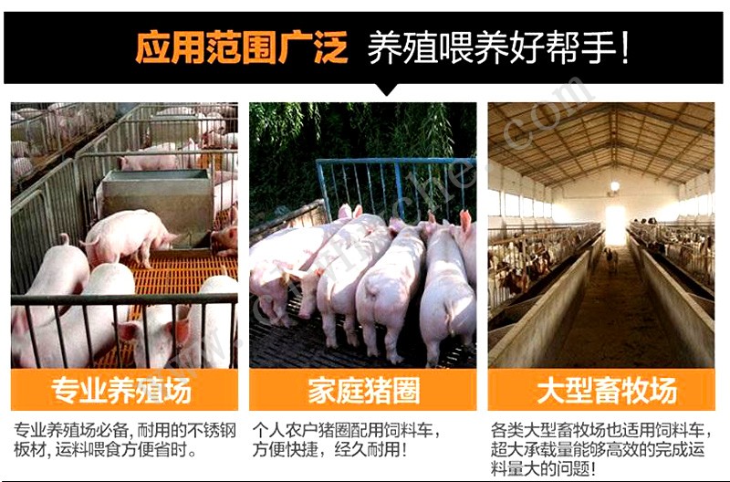 /202505/1747021850_9baa0ba9fa8e777e1498.jpg